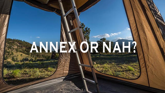 To Annex or Not to Annex