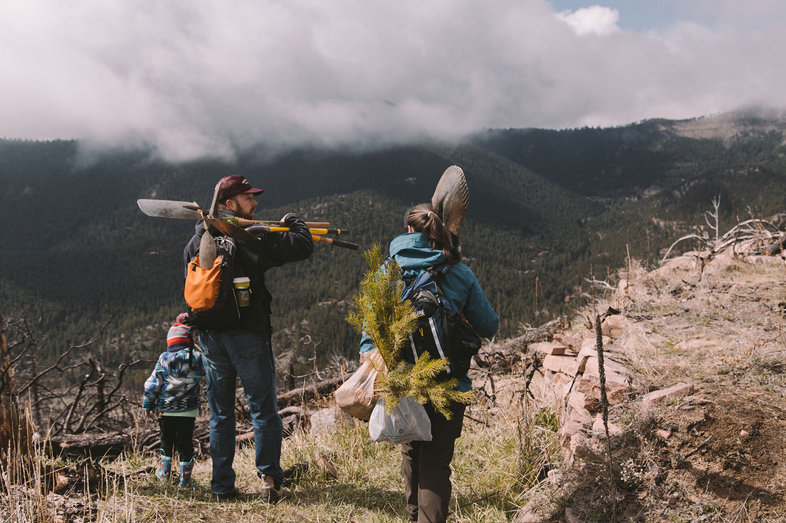 OUR CAMPERS ARE REPLANTING COLORADO ‘ONE TREE’ AT A TIME — HERE’S HOW