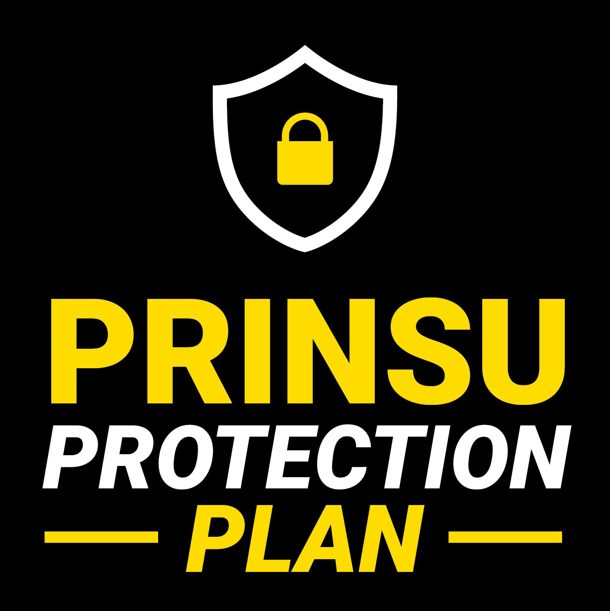 Prinsu Accessory Protection Plan- $100 and below