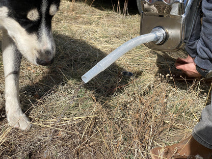 5 Gallon Stainless Steel Jerry Can